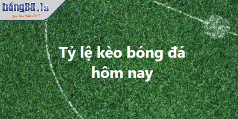 Tất Tần Tật Về Kèo Châu Á Cho Tân Binh Mới Gia Nhập 2 Điểm danh các kèo cược ăn khách và phổ biến nhất hiện nay